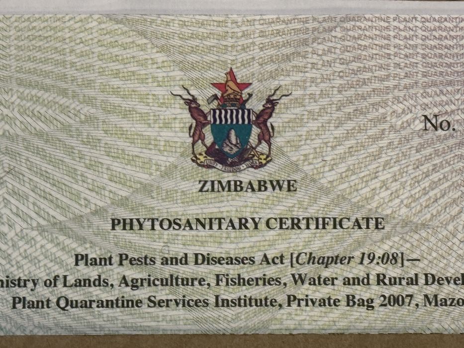 Orzechy makadamia w łupinach Zimbabwe