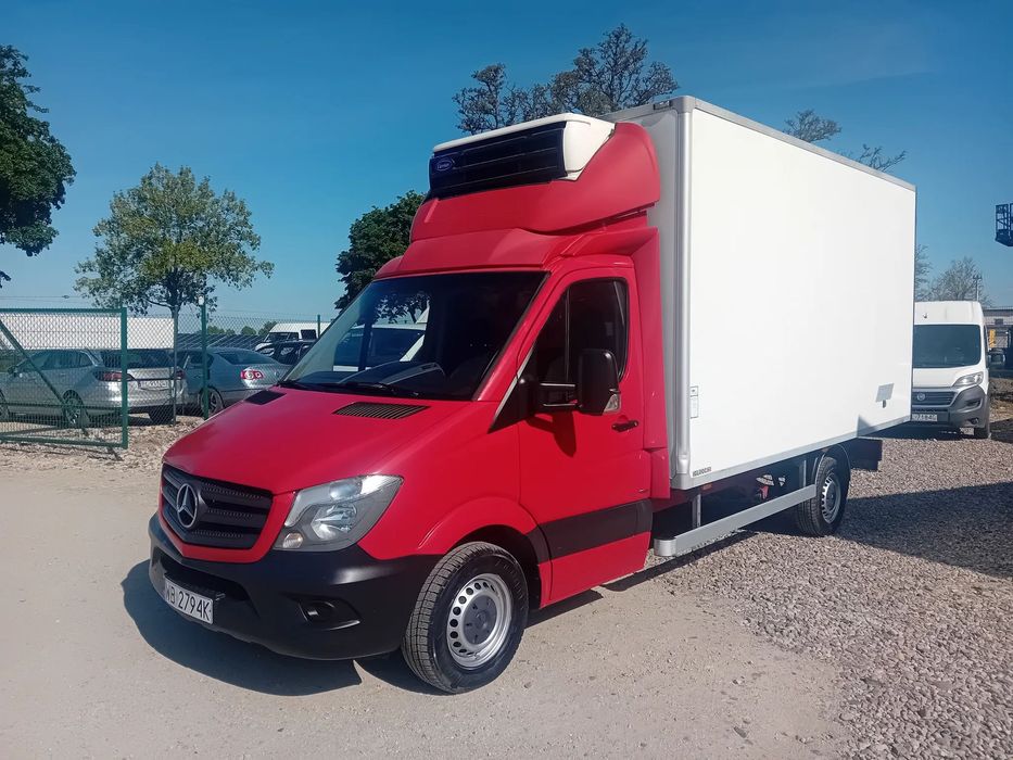 Mercedes-Benz Sprinter Chłodnia  Chłodnia/Mrożnia/Kontener