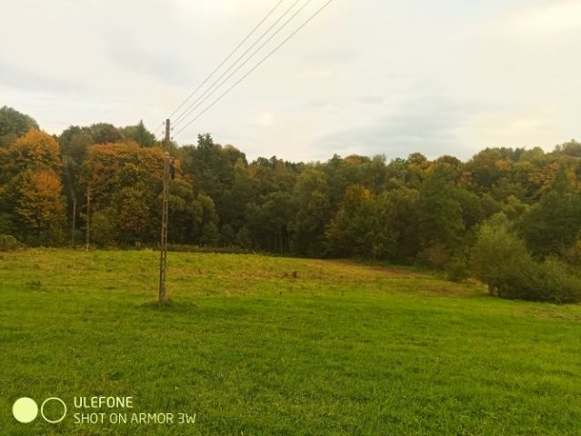 Sprzedam/Zamienię 7140m2 /Warunki zabudowy/Ładna działka