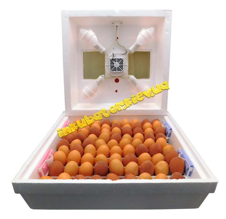 Электронный Цифровой Инкубатор Квочка МИ-30-1-Э на 70 яиц с корпусным