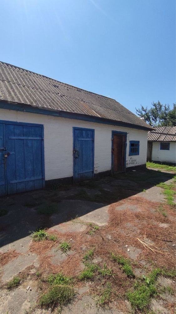 Продам будинок з газом Пологі Яненькі