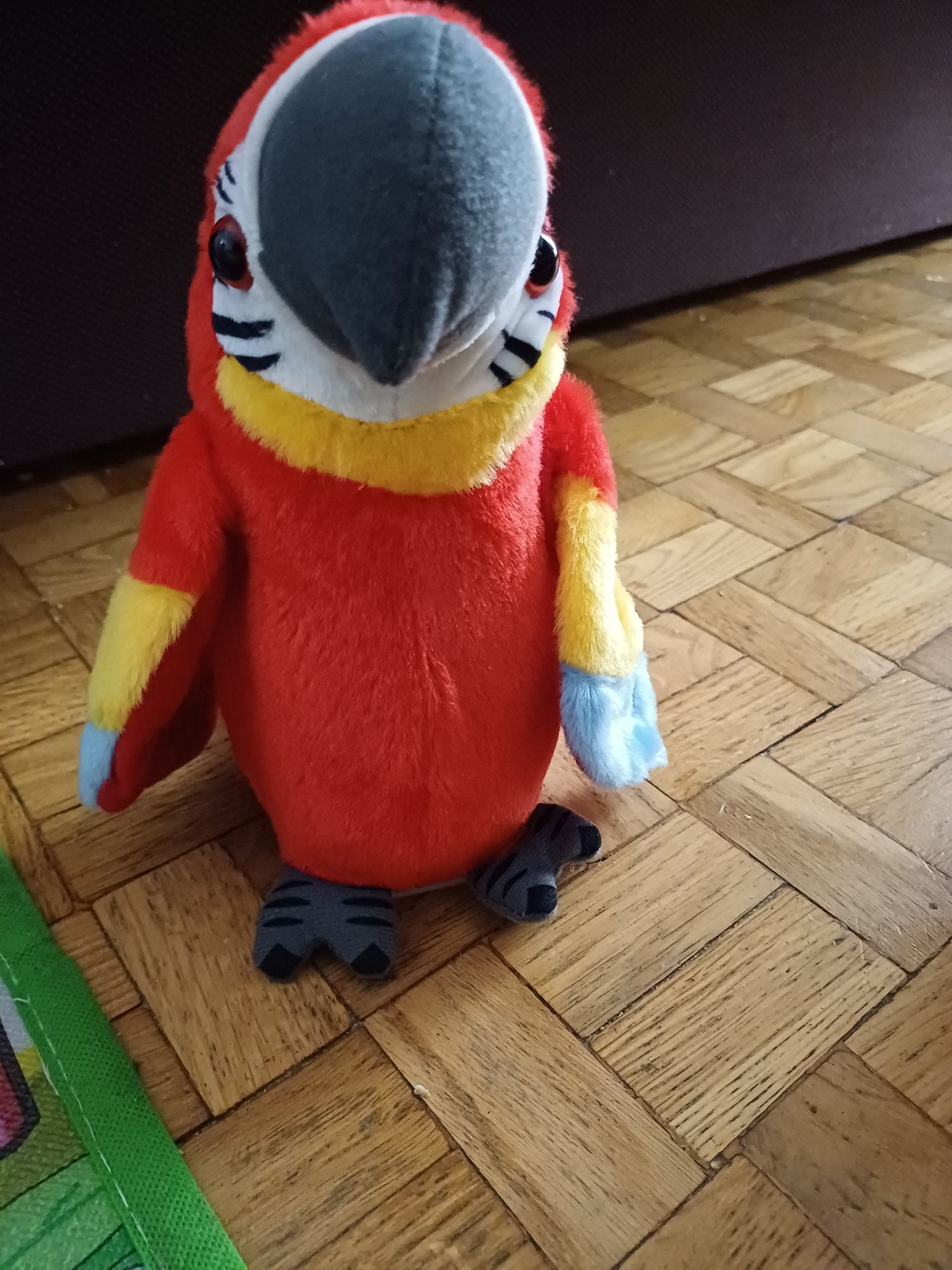 Gadająca  papuga
