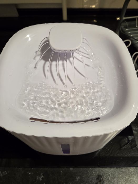 Caixa de areia Gatos