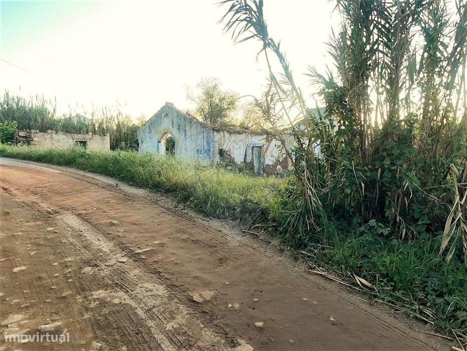 Terreno  para venda