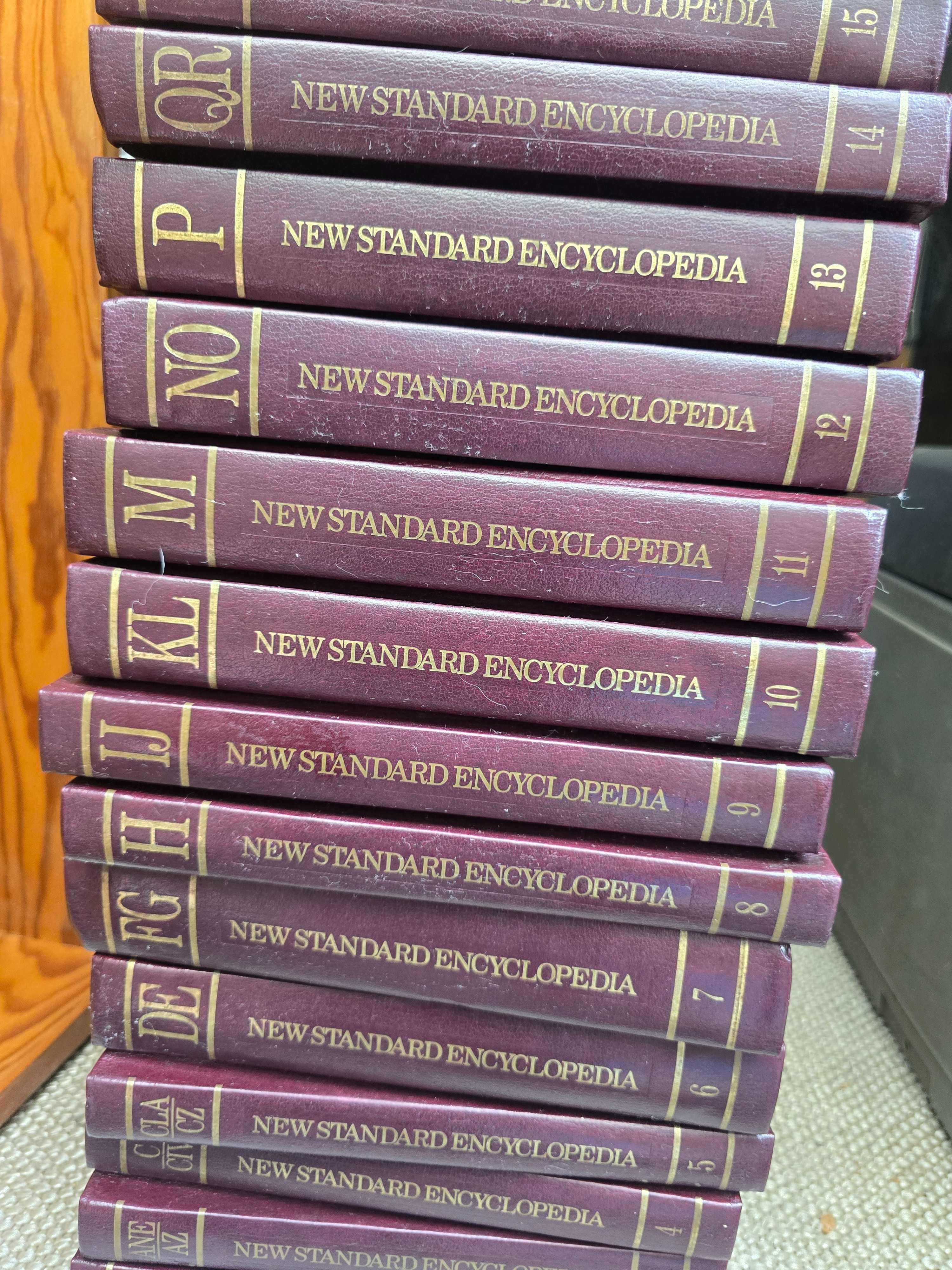 Enciclopedia new standard nova