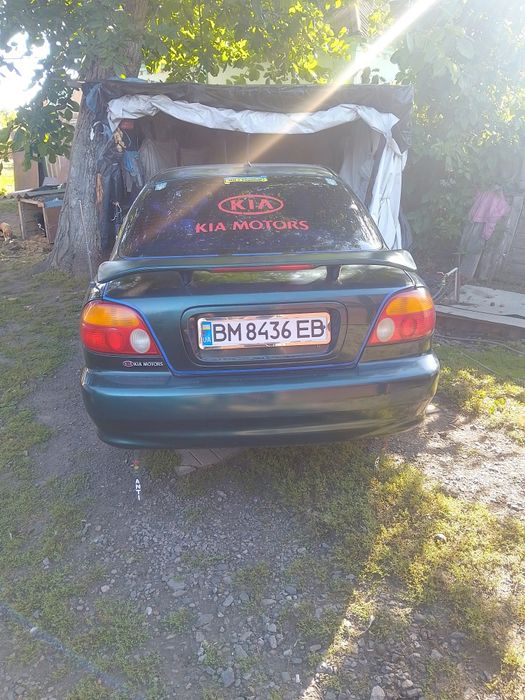 KIAsephia Зелений