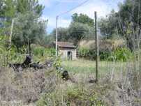 Terreno em Covas
