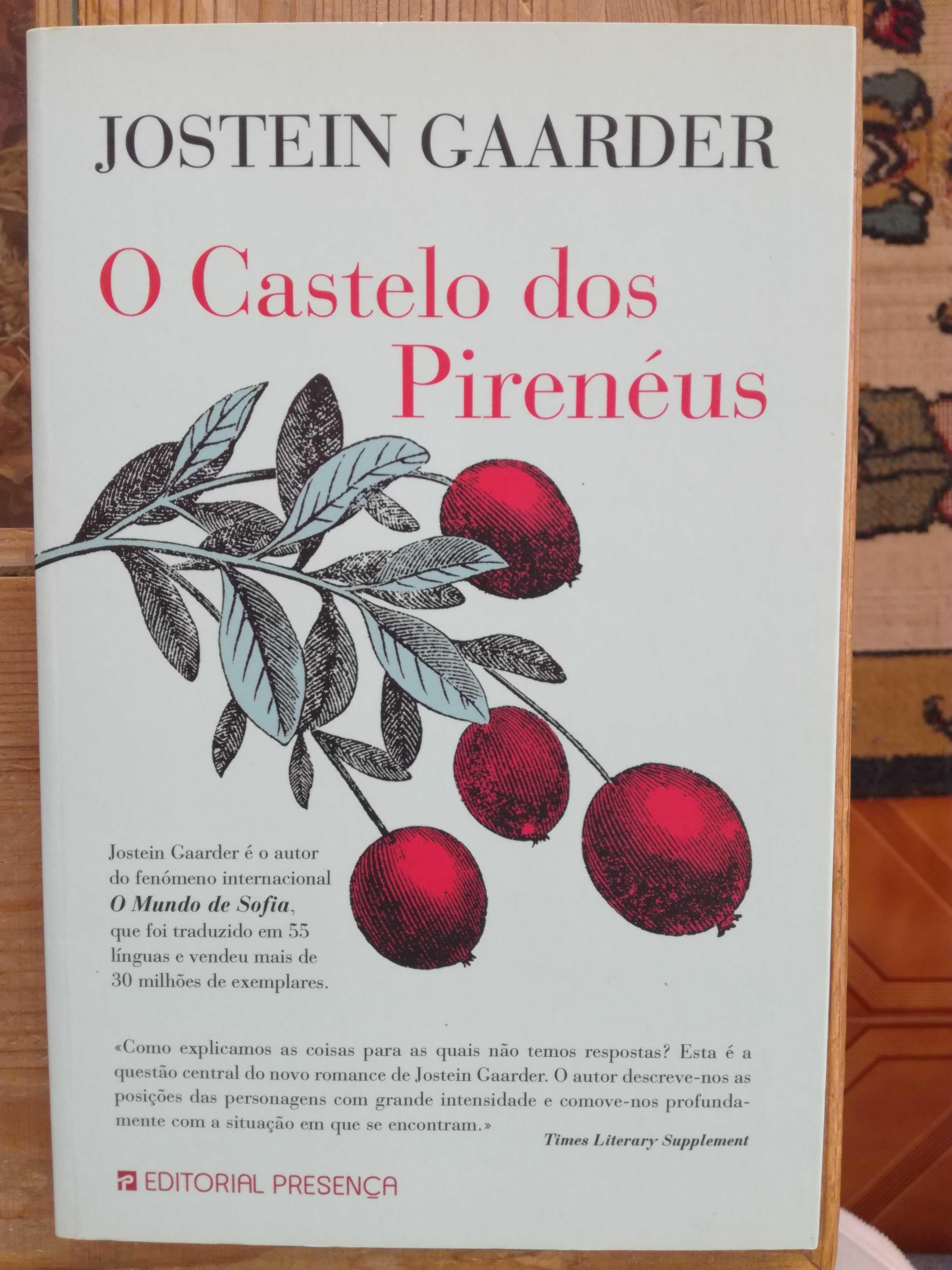 O Castelo dos Pirenéus, de Jostein Gaarder