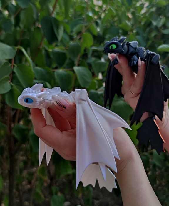 Нічна та Денна Фурії ,як приборкати дракона, Безубик