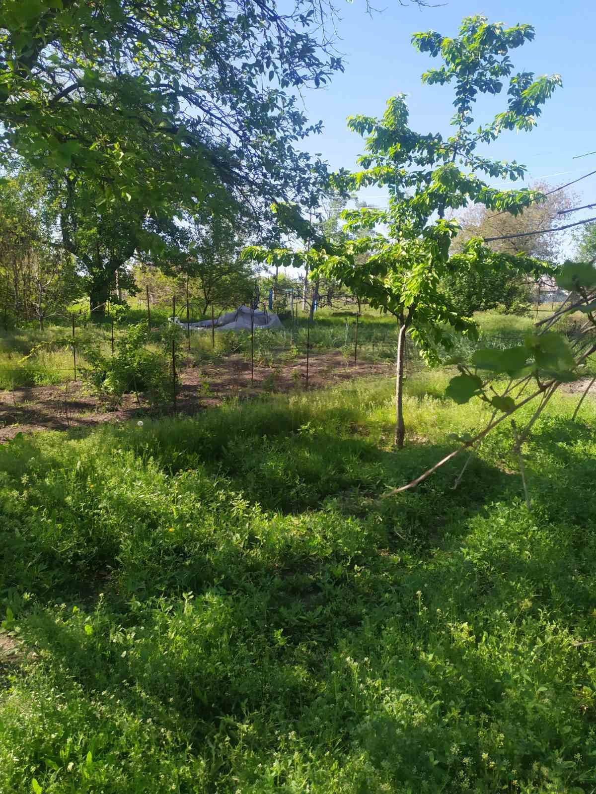 Продам дом село Пришиб