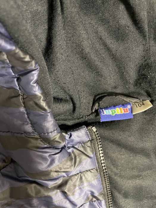 Демісезонна куртка на хлопчика Lupilu 104 р.