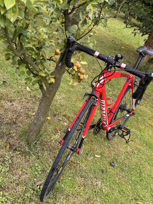 Specialized allez prosto po serwisie