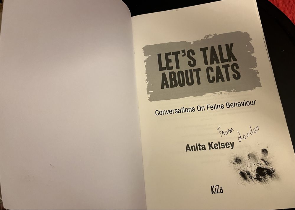 Livro Let’s Talk About Cats de Anita Kelsey