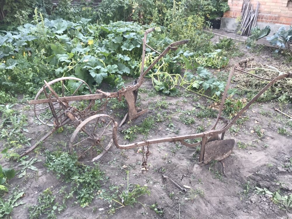 Кінний плуг розпашка
