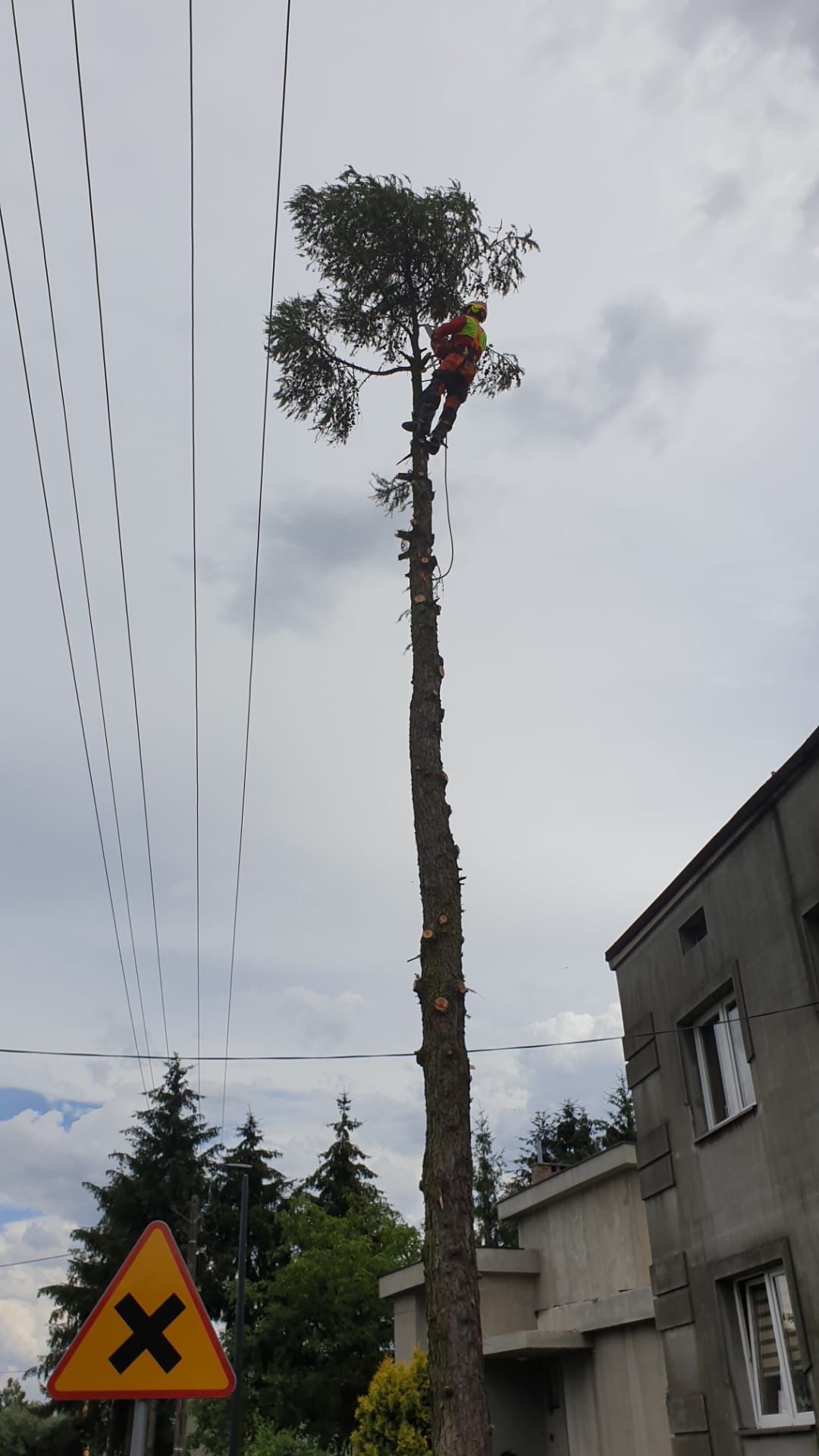 PRZYCINANIE Rębak Wycinka drzew trudno dostępnych