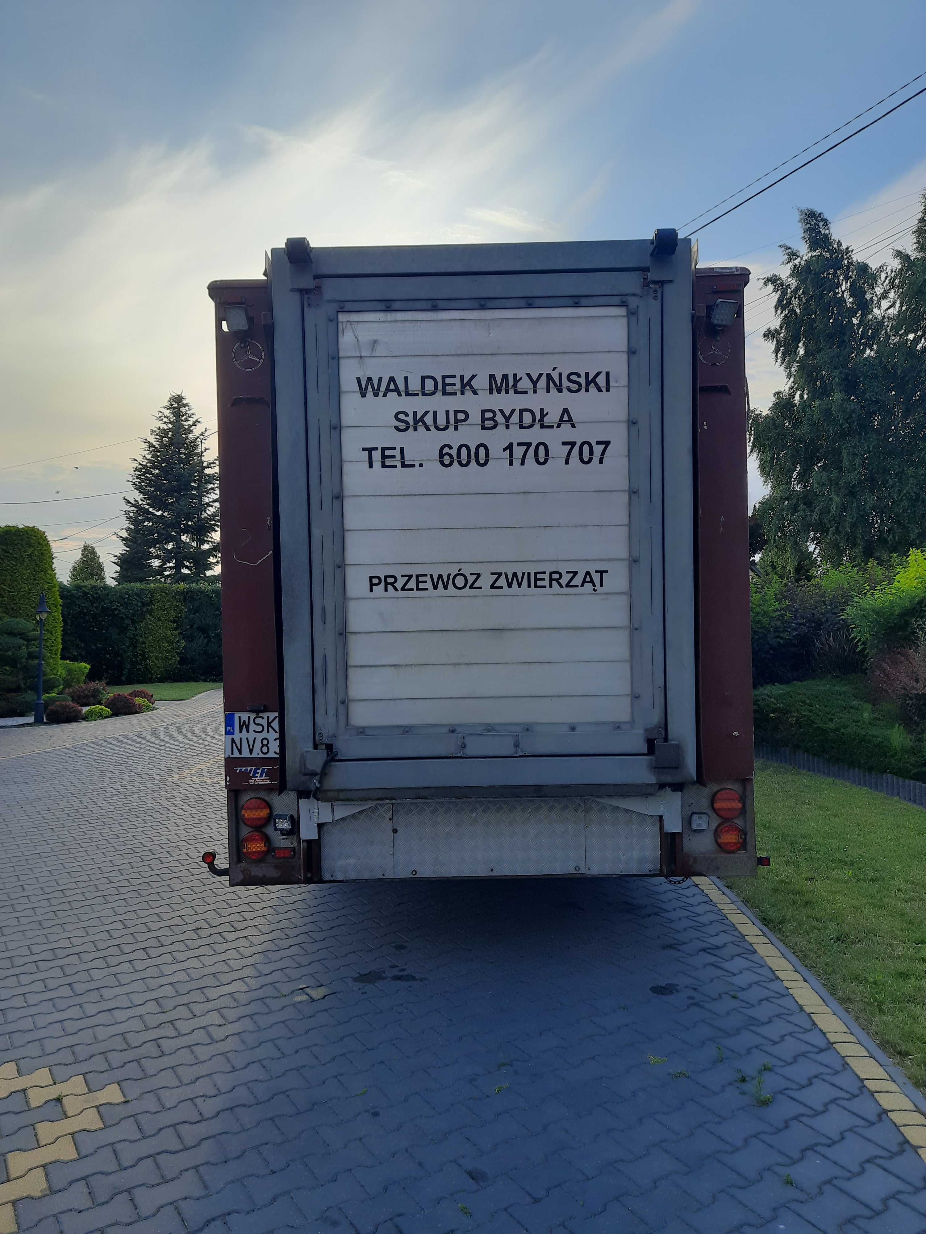 Mercedes Benz do przewozu zwierząt