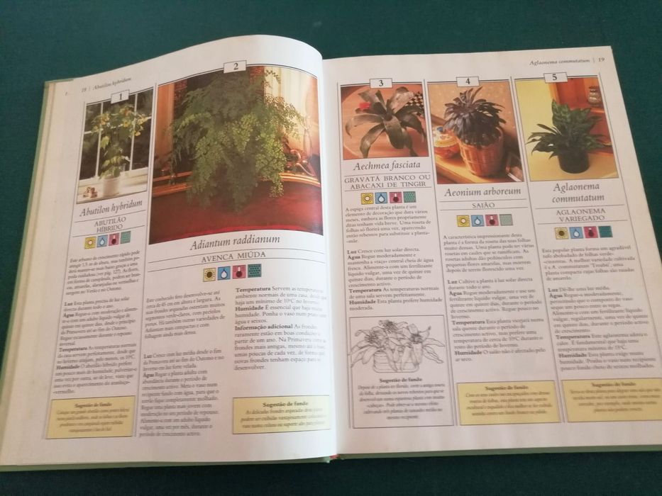 200 Plantas de Interior