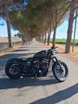 Harley davidson Sportster 883