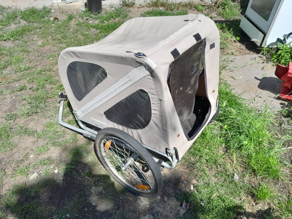 Przyczepka rowerowa dla psa Croozer Dog