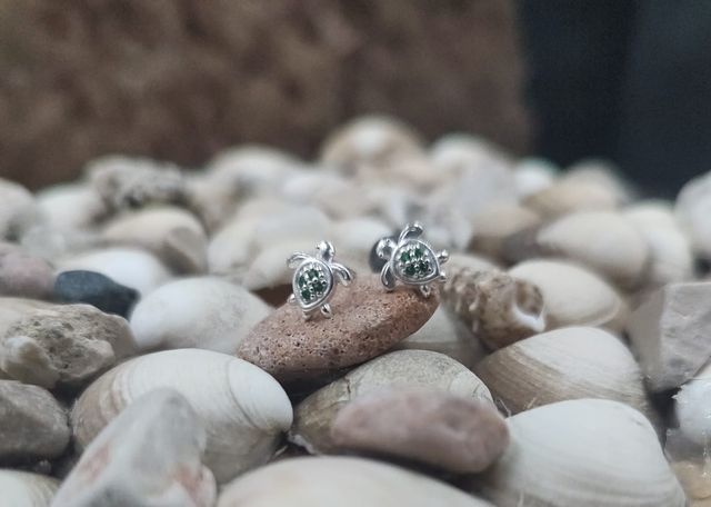 Srebrne kolczyki żółwie