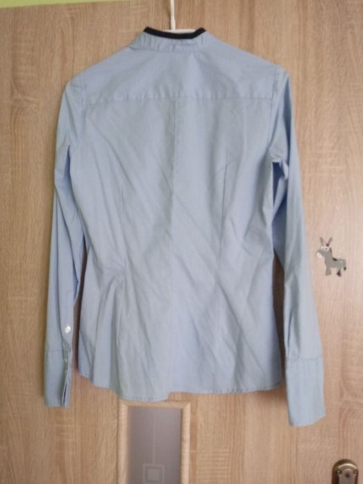 Koszula błękitna gładka