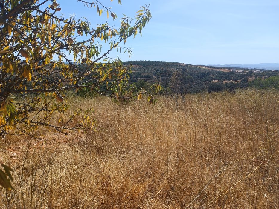 Quinta com 1,7 hectares e casa de 3 andares – Peredo, Macedo de Cavale
