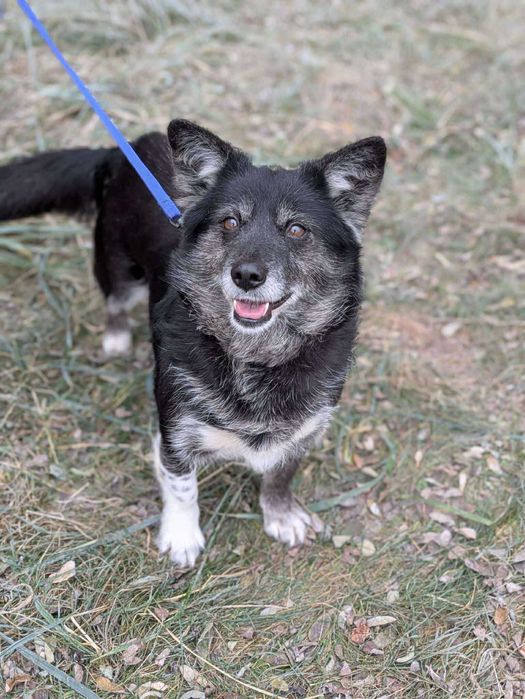 Manga- może los się do niej uśmiechnie