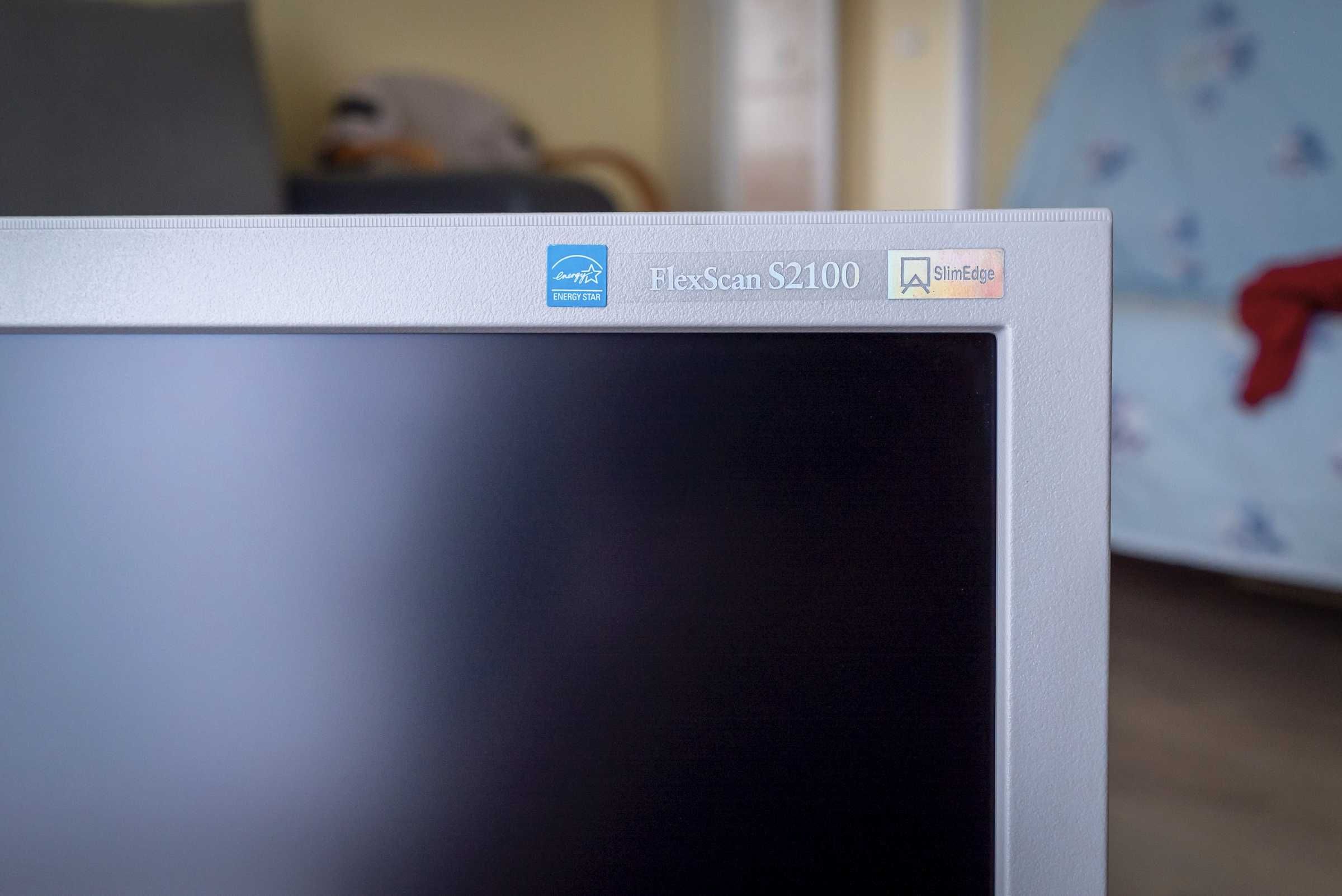 Monitor EIZO FlexScan S2100/zdjęcia/grafika