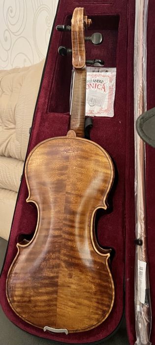 Скрипка для Вишу, Коледжу чи Школи !