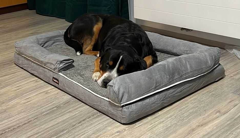 Legowisko ortopedyczne dla psów sofa FEANDREA 120 x 85 x 25 cm Łóżko
