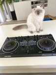 Kontroler DJ PIONEER DDJ-REV1 Czarny