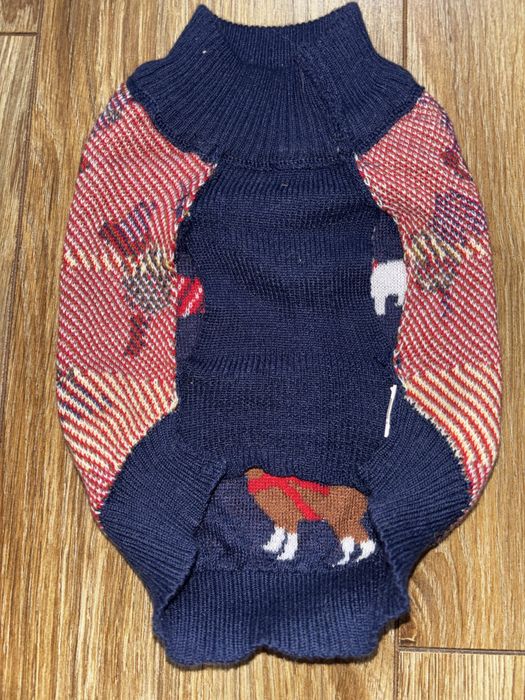 Sweter dla małego psa