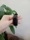 Smartband zegarek opaska sportowa