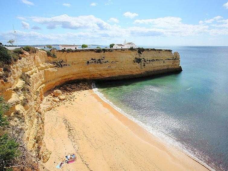 Arrenda-se T1 de 05 Dezembro a 05 Junho 2026