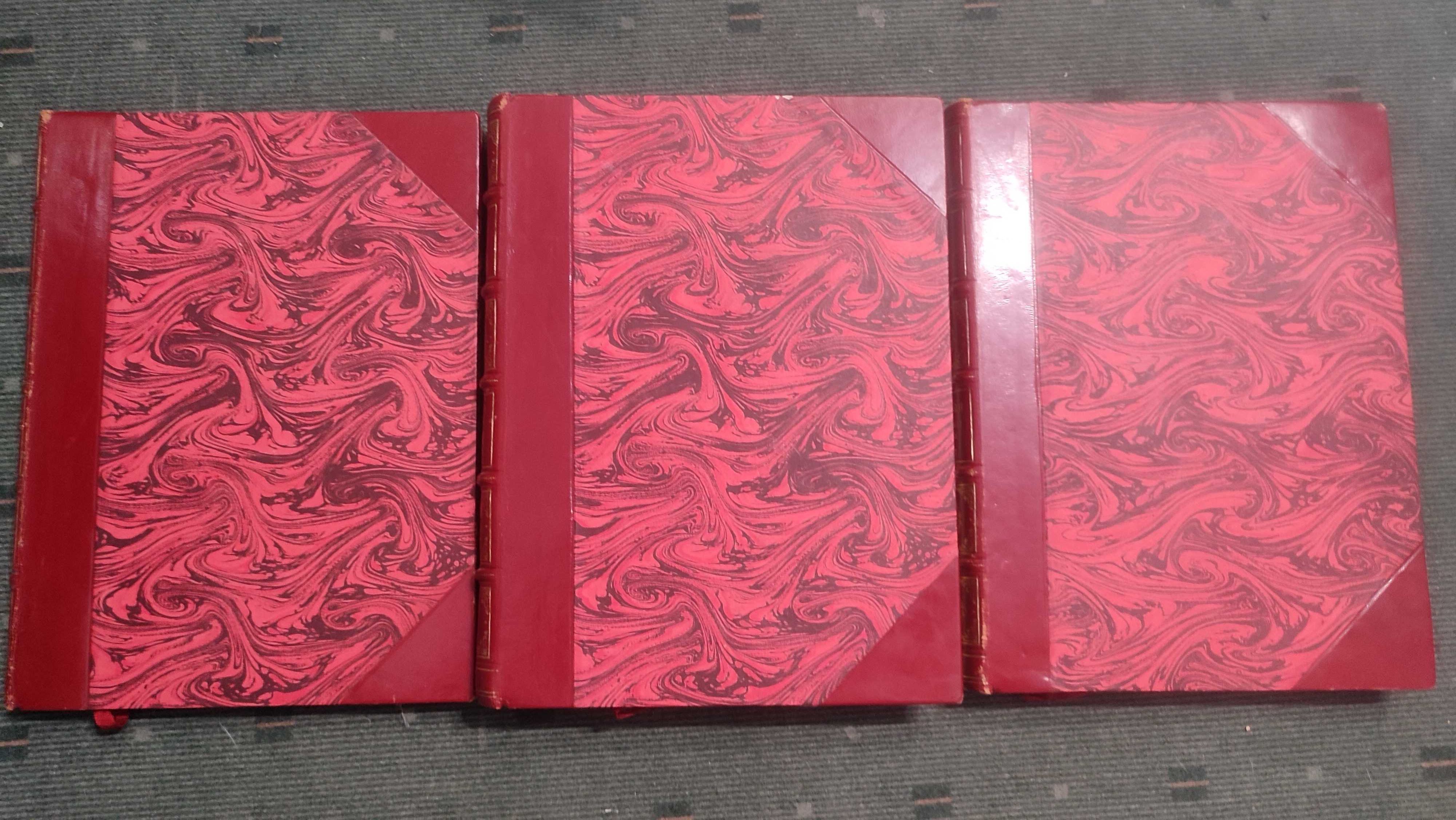 D. João VI Principe e Rei - Ângelo Pereira - 3 Volumes