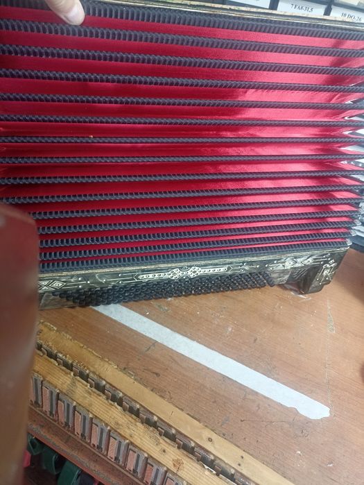 Acordeon Stela de botões 4 voz