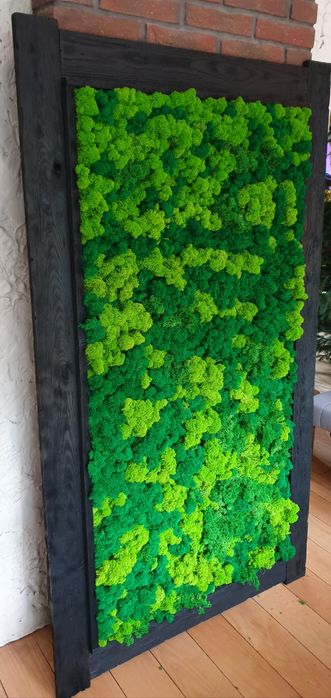 Ekskluzywny obraz z mchu , mech chrobotek reniferowy .Wymiar 140x70cm