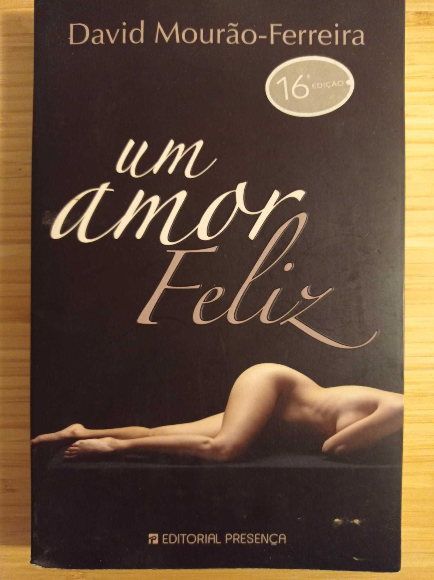 Livro - Um Amor Feliz