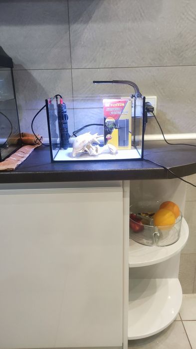 Akwarium ok 10l na biurko