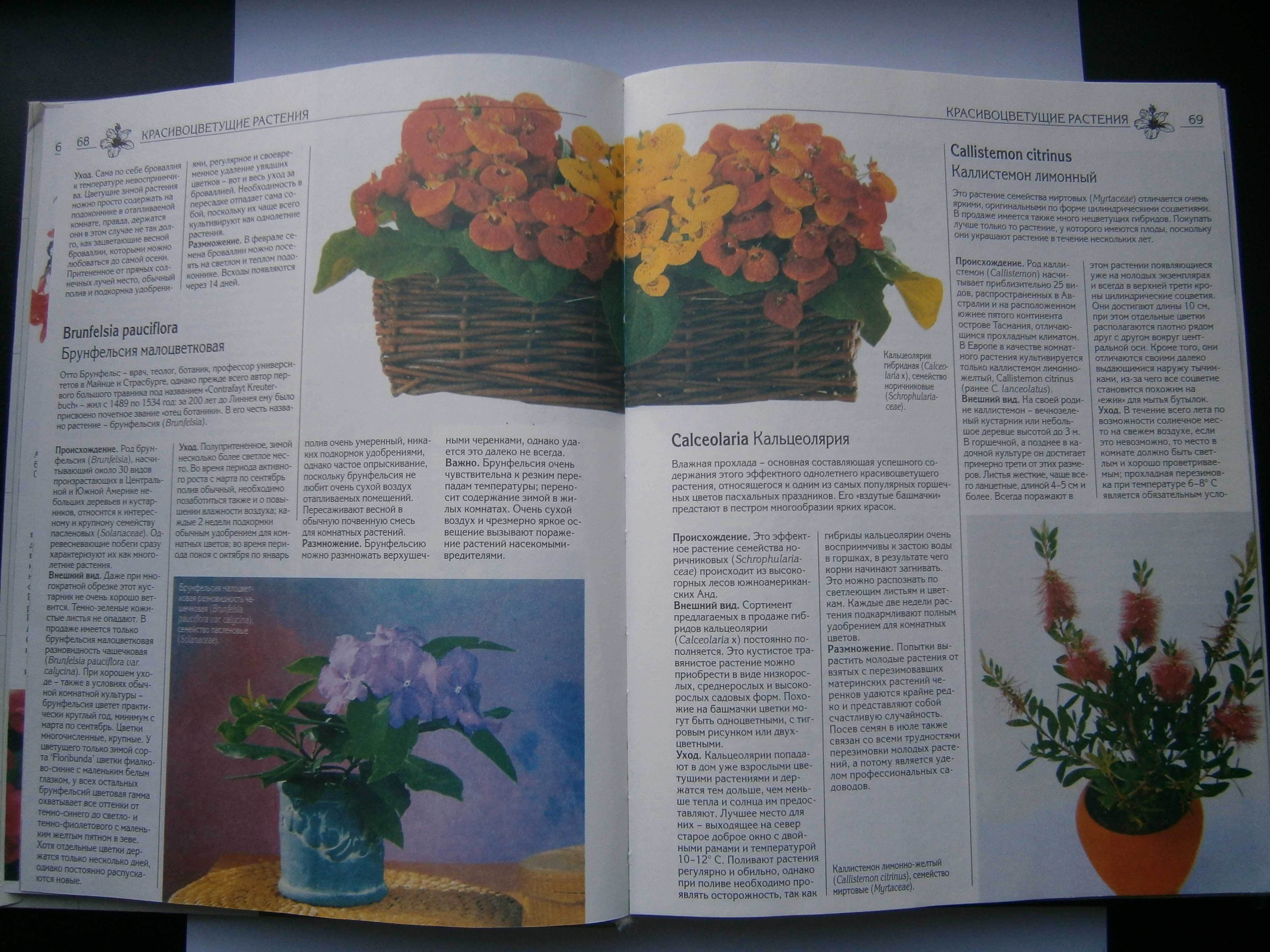 Эциклопедия «Все о комнатных растениях»