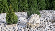 Kora Kamienna GŁAZY 10-50 cm Kamień do Ogrodu 1000 kg