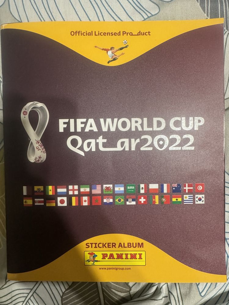 FIFA World Cup Qatar 2022 почти полный