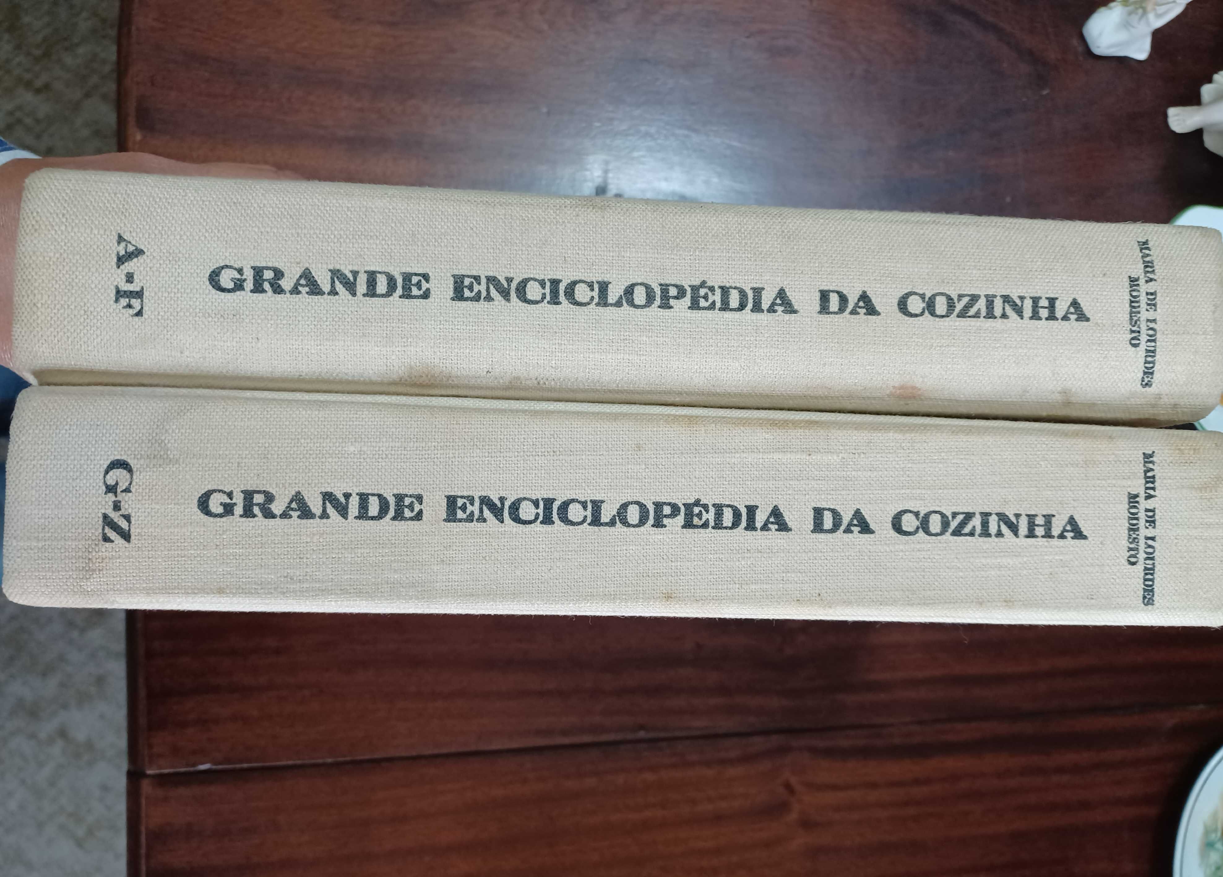 Grande Enciclopédia da Cozinha - Maria de Lourdes Modesto