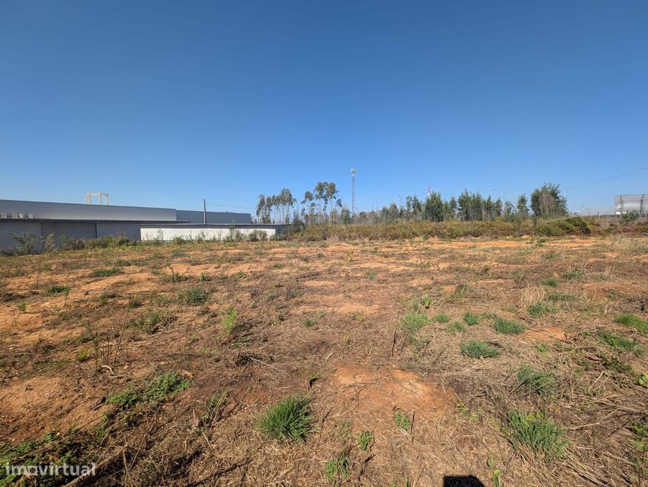 Terreno em Albergaria-a-Velha