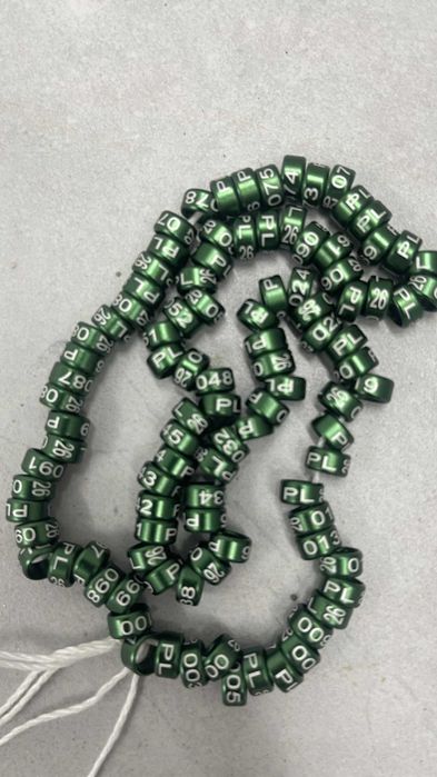 Nimfa, świergota, obrączki 2026