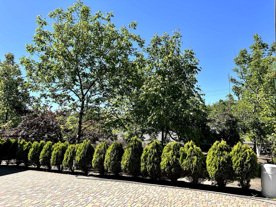 Продам або здам в оренду будинок в селищі Чаплине