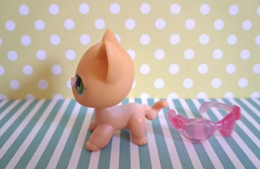 Littlest Pet Shop LPS unikatowy kot Shorthair #72 pop