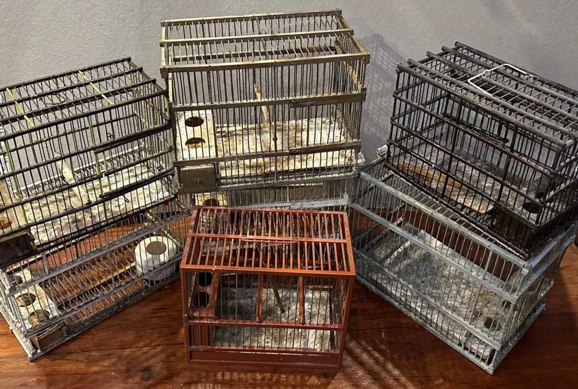 Gaiolas antigas, em madeira e arame decorativas