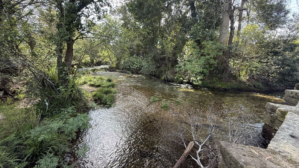 Terreno construção 7650m2 a 5 min da Praia de Ancora