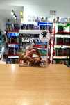 FarCry 3 PS3, Playstation 3